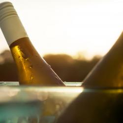 How to Keep Your Wines Cool in Summer